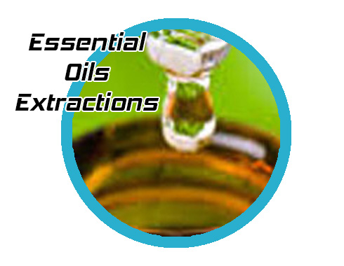 extract essential oils with supercritical fluids