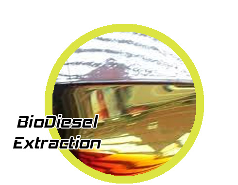 extract biodiesel with supercritical fluids