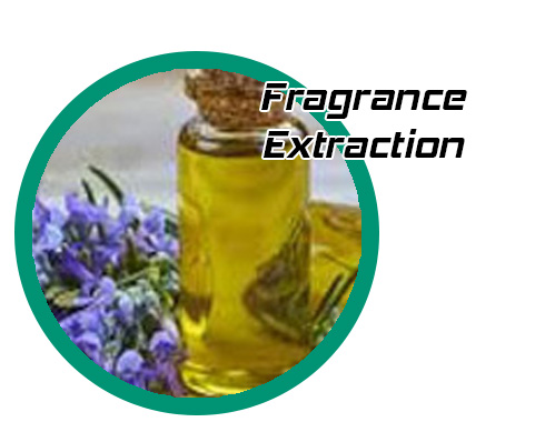 solvent free extraction of flavors and fragrances with supercritical fluids