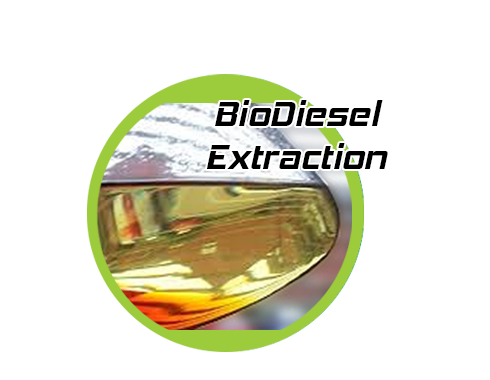 BioDiesel Extraction