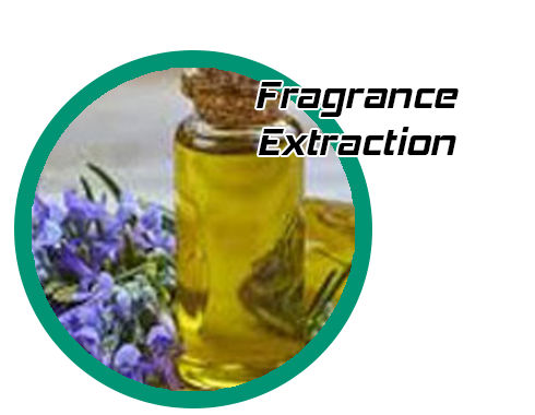 Fragrance Extraction